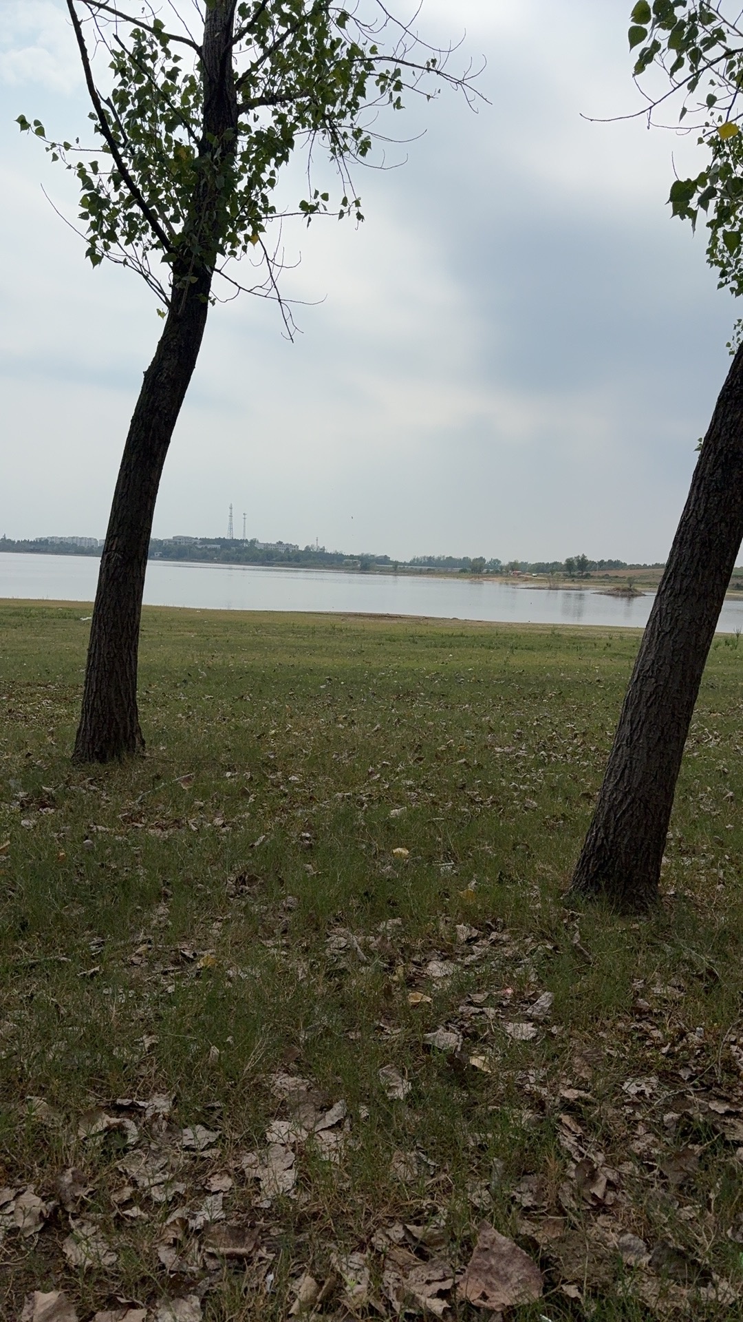 IMG_5495.jpg