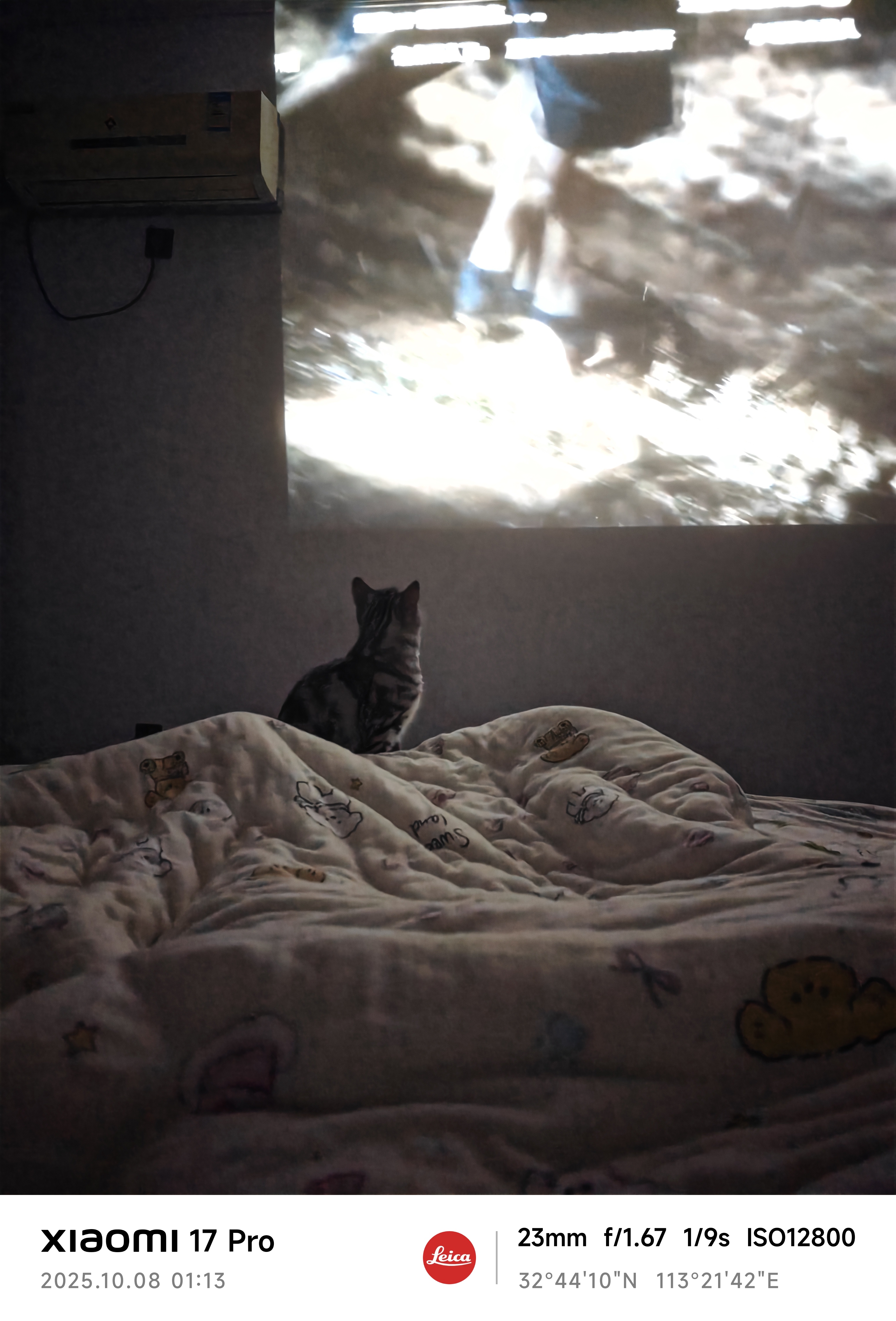 MVIMG_20251008_011316.jpg